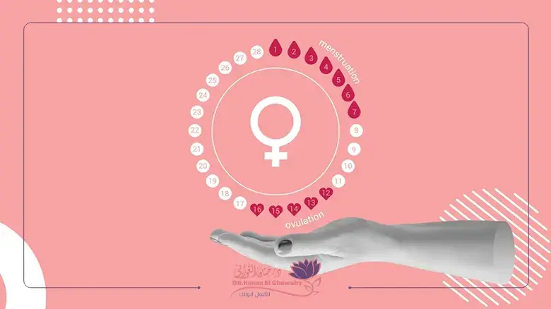 حساب أيام التبويض لحدوث الحمل Calculating ovulation days for pregnancy