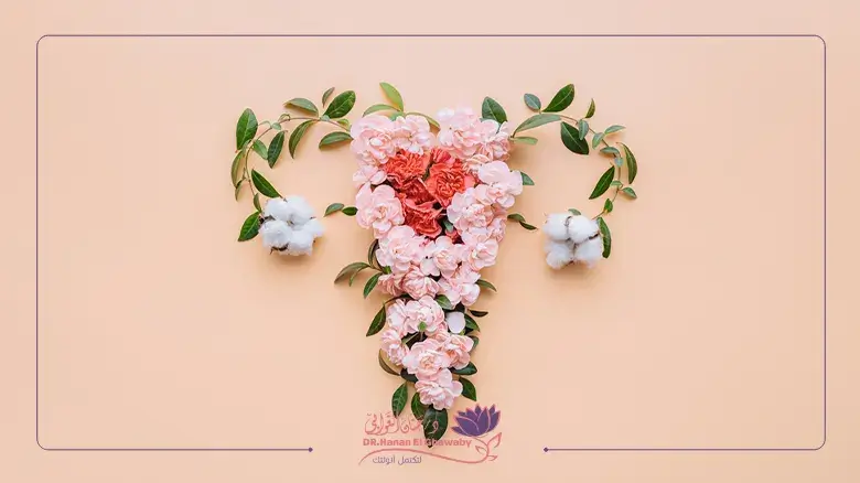 هدف طب النساء التجميلي The goal of cosmetic gynecology