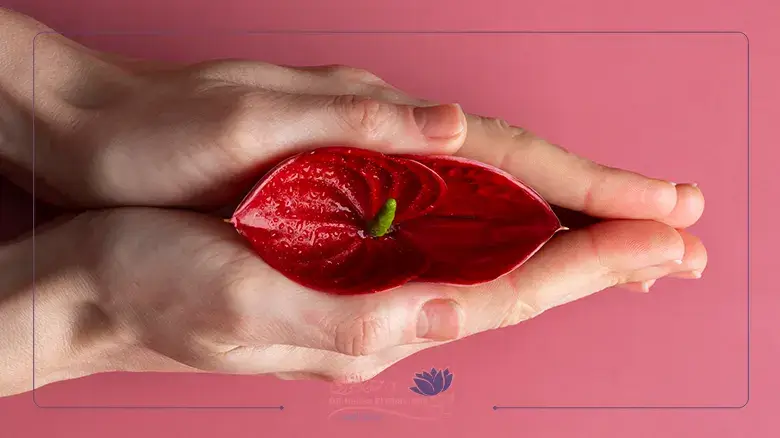 السقوط المهبلي وطرق علاجه Vaginal prolapse and its treatment methods