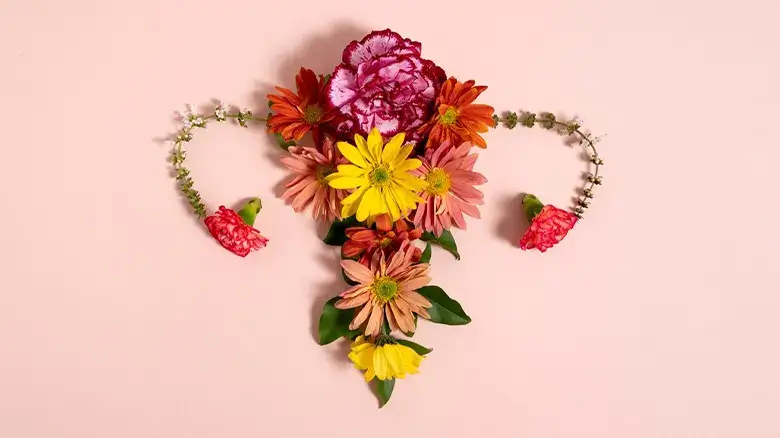 فيلر البكيني Bikini filler