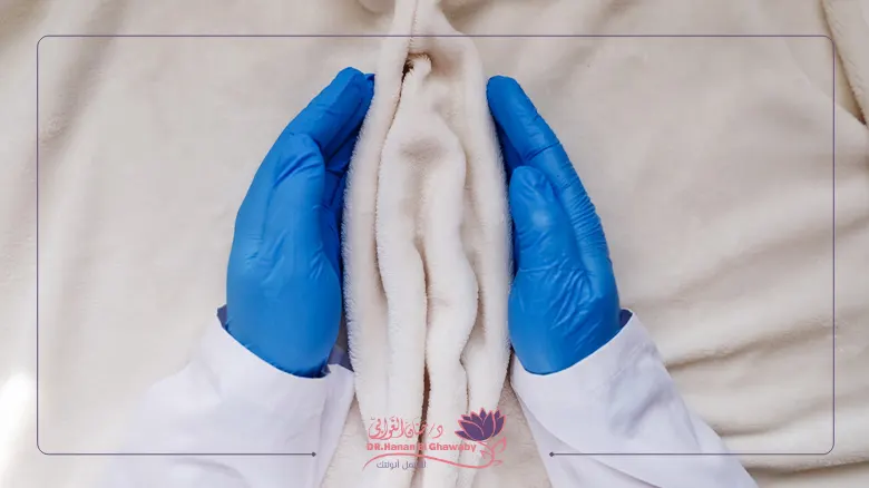 ترميم منطقة العجان ترميم منطقة العجان