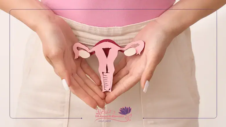 تحسين خصوبة المرأة طبيعيا