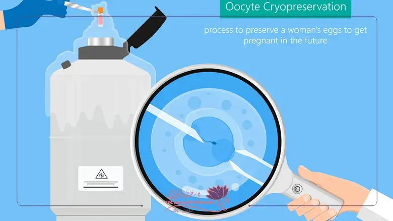 الاستعداد لنقل الأجنة المجمدة الاستعداد لنقل الأجنة المجمدة